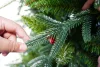 The 2025 new product features a high-end encrypted automatic tree with white PE and pointed PVC, making it a large home decorative Christmas tree details Picture